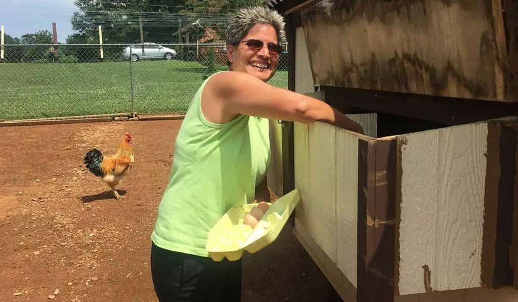 gathering fresh eggs