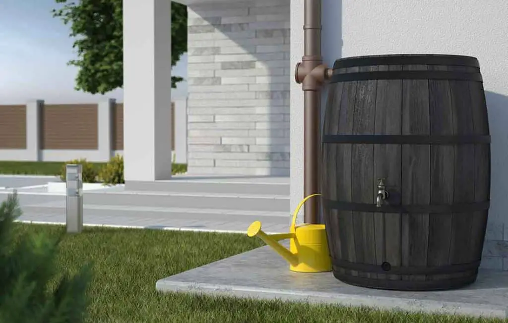 DIY rain barrel chicken waterer