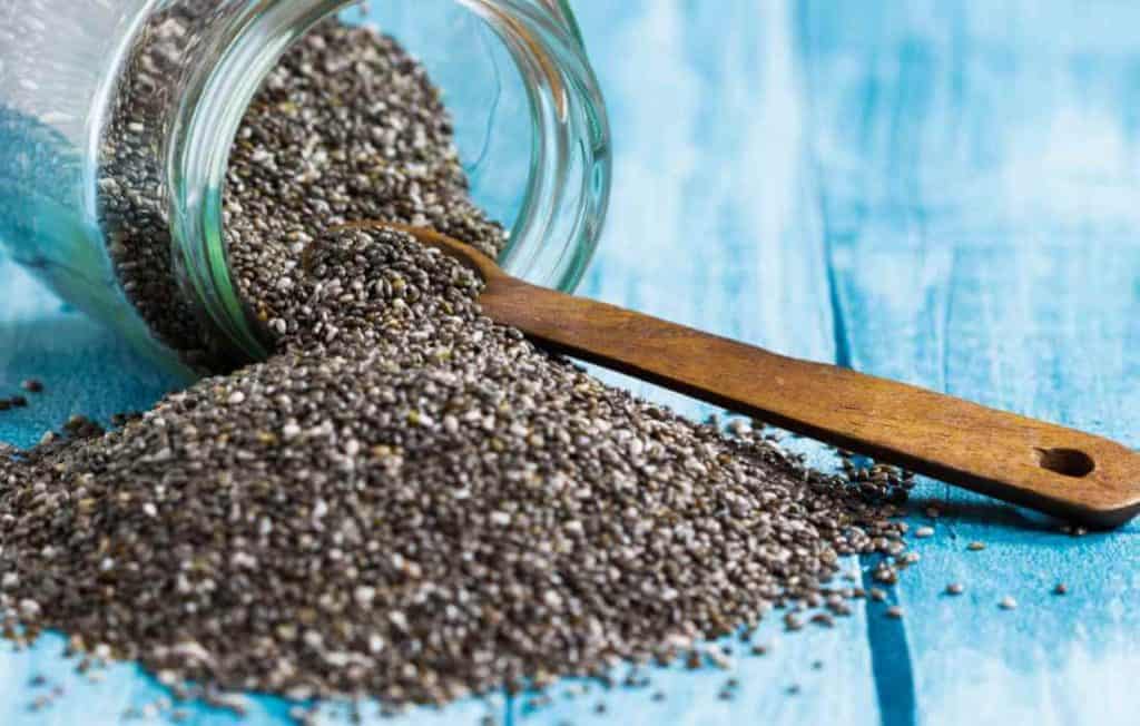is it safe for birds to eat chia seeds